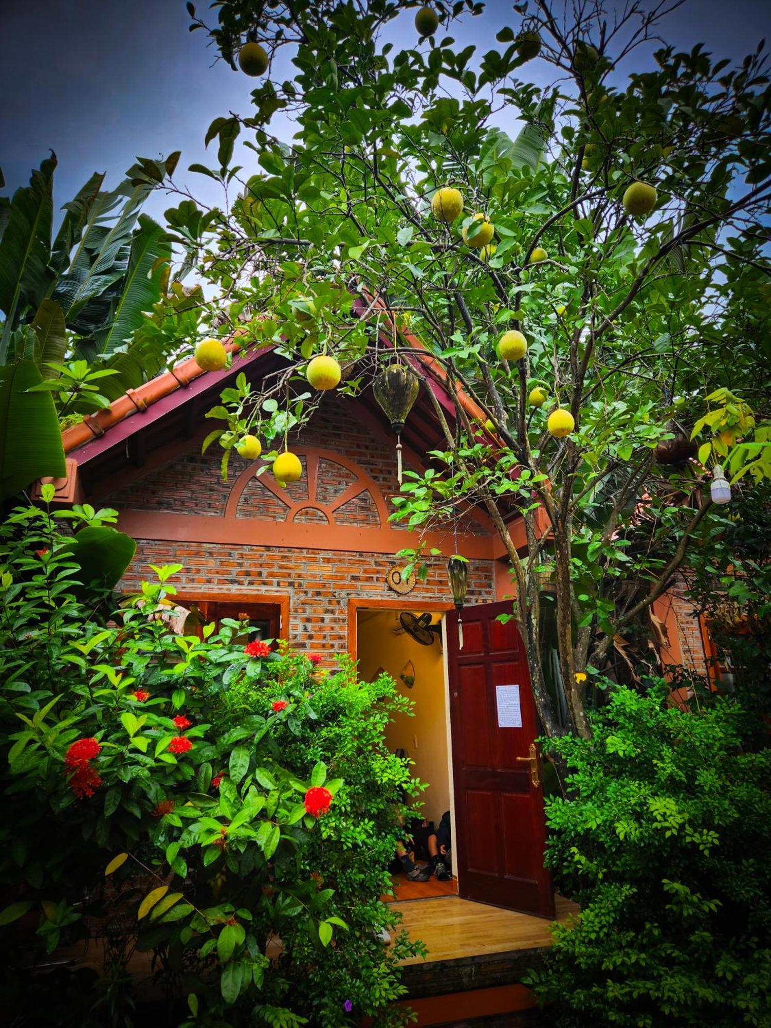 Trang An Village Homestay Νιν Μπιν Εξωτερικό φωτογραφία
